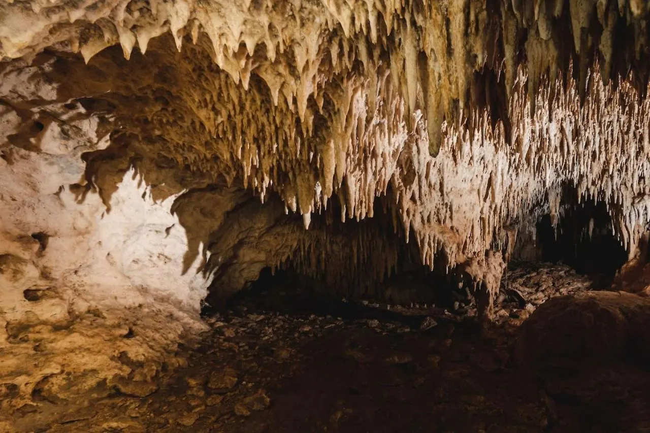 Xcaret Oasis Private Cave For 3 Hotel Playa del Carmen Luxury tent