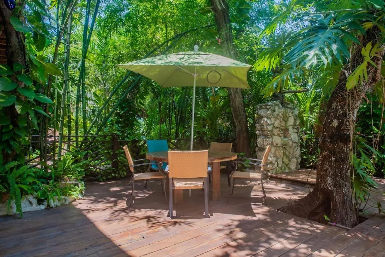 Luxury tent Xcaret Oasis Private Cave For 3 Hotel Playa del Carmen