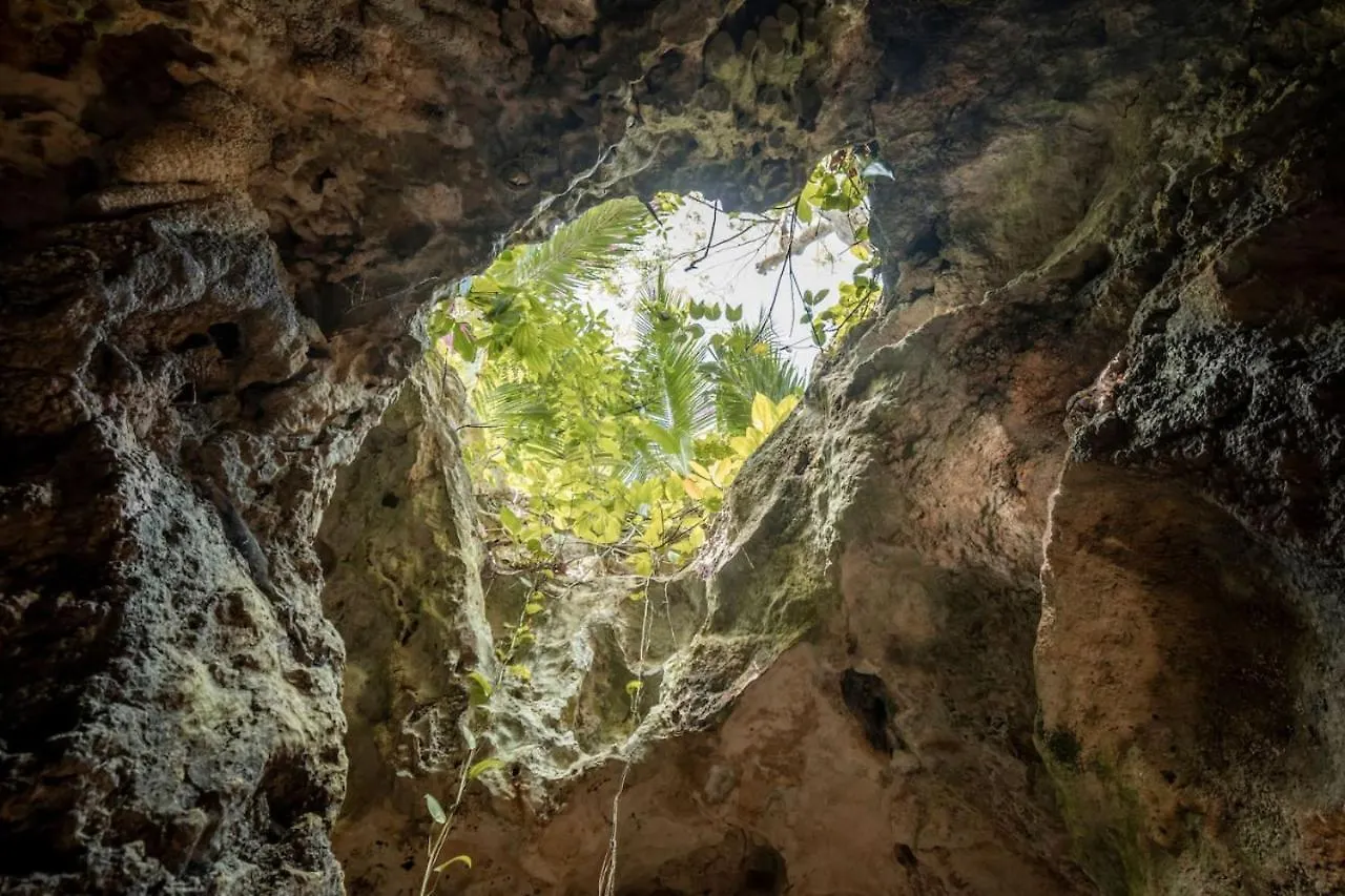 Xcaret Oasis Private Cave For 3 Hotel Playa del Carmen