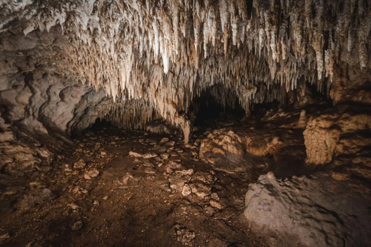 Luxury tent Xcaret Oasis Private Cave For 3 Hotel Playa del Carmen